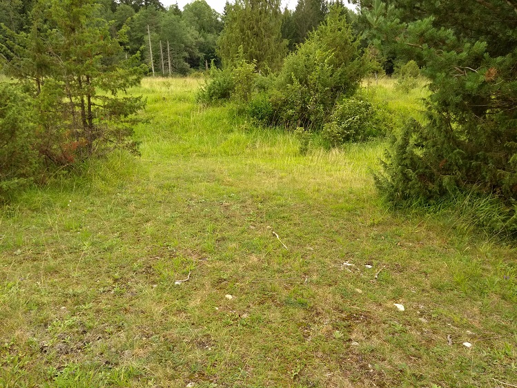 Wacholderheide bei der Staustufe 4